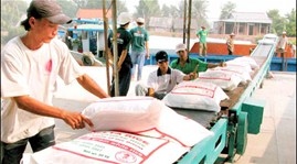 Vietnam exports 300,000 tonnes of rice to Indonesia